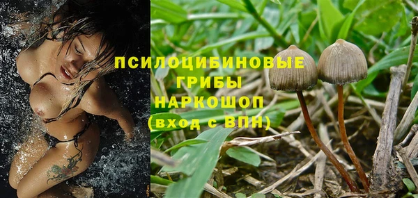 ешки Дмитров