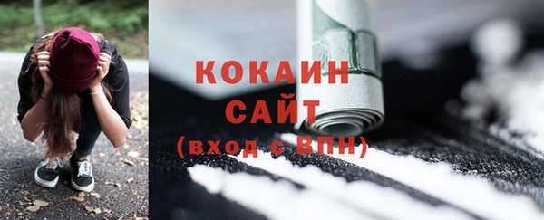 PSILOCYBIN Дмитриев
