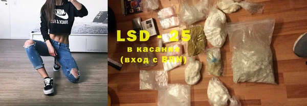 PSILOCYBIN Дмитриев