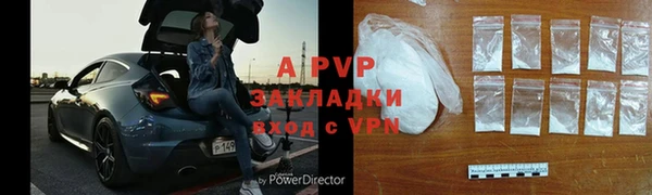 PSILOCYBIN Дмитриев