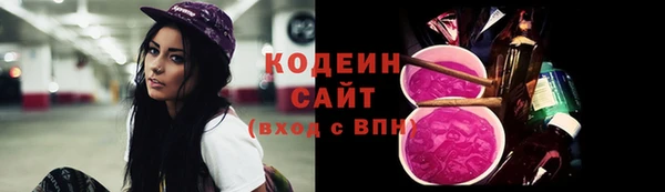 apvp Валдай