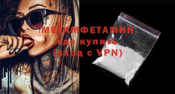 PSILOCYBIN Дмитриев