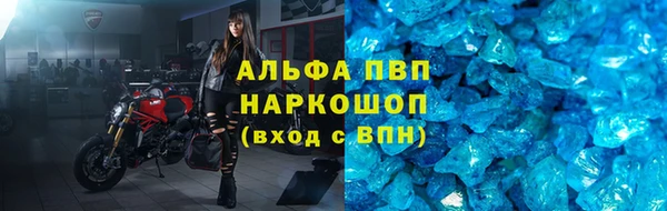 PSILOCYBIN Дмитриев