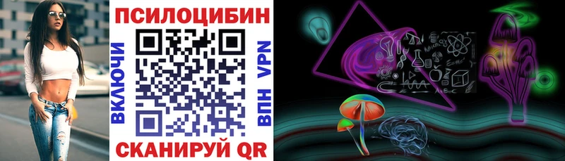 Галлюциногенные грибы Psilocybine cubensis  Жигулёвск 